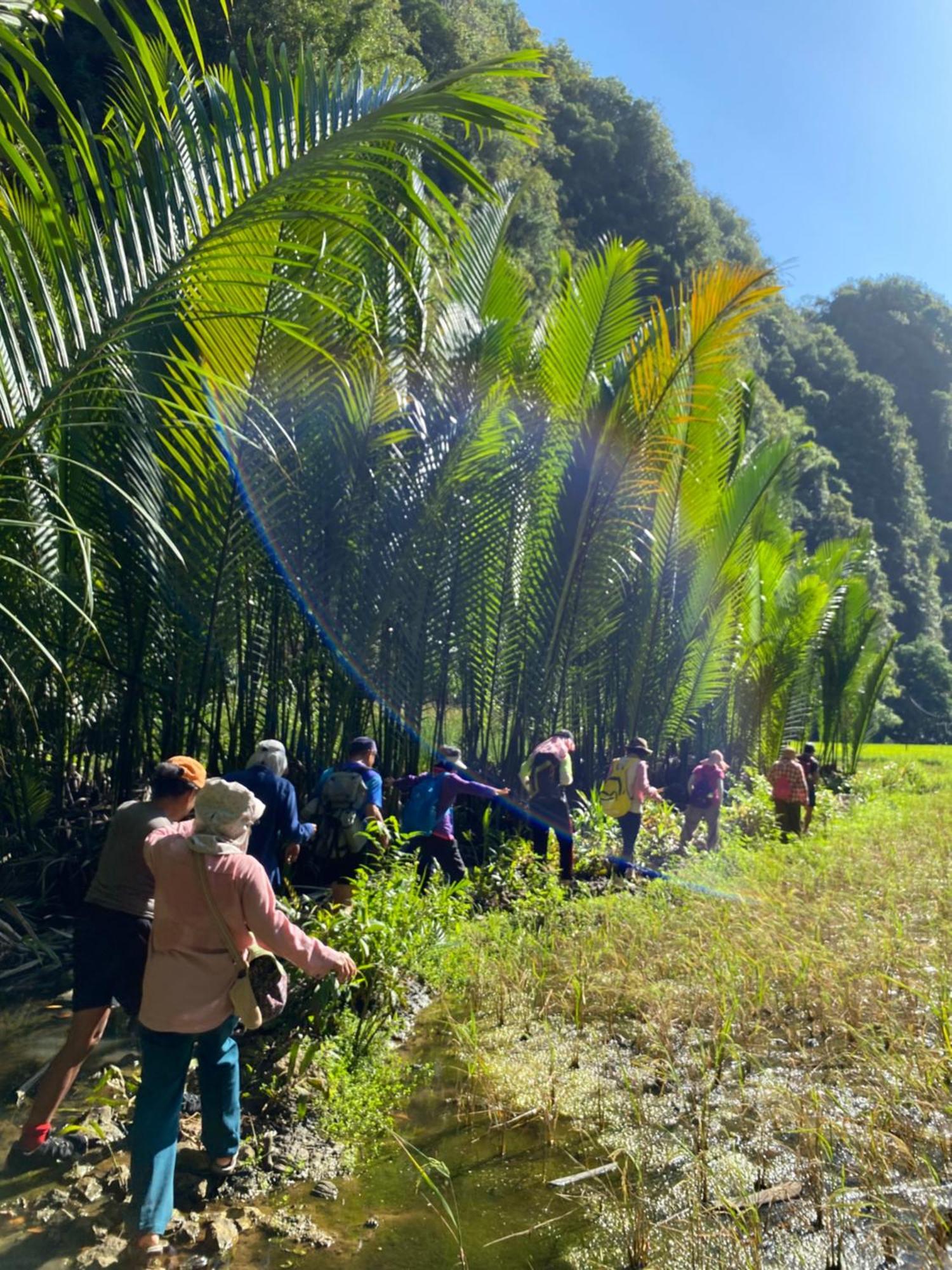 Rammang Rammang Ecolodge And Cafe Kasijala Bagian luar foto